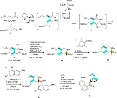 Recent advances in synthesizing and utilizing nitrogen-containing heterocycles